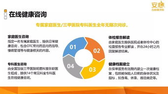 安心互联网产品计划 构建稳健高效的网站开发与维护体系