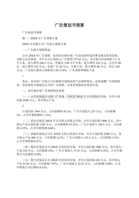 广告策划书预算 网站开发与维护成本规划
