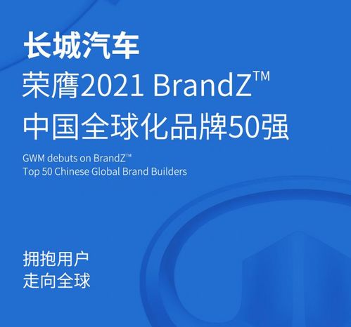 魏建军 选对方向，把握格局，维护产业健康有序发展——论网站开发与维护
